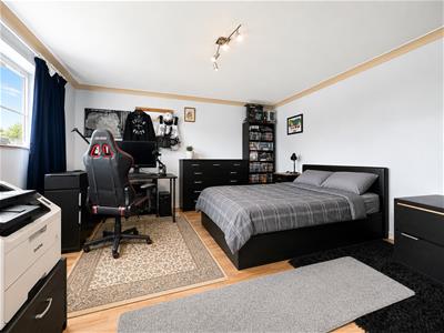 Picture 11